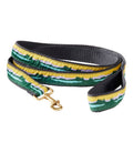 Novelty Dog Leash